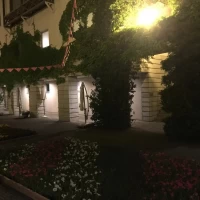 夜のピーマン通り