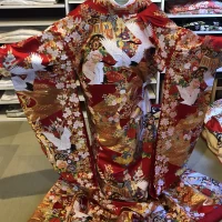 色打掛試着