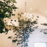 天井が高く、解放的。