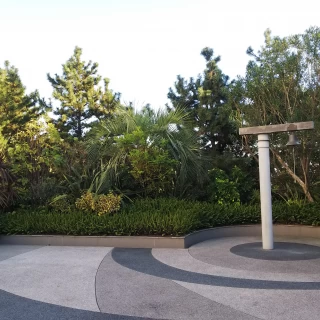 中庭