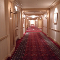 廊下も絨毯がしいてあり広い