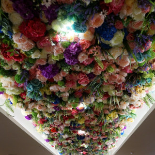 天井の花