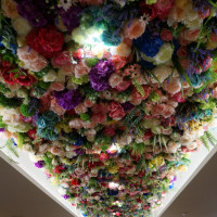 天井の花