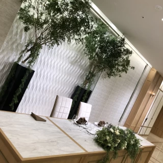 森をイメージしました。