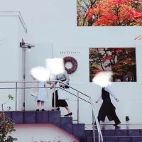 紅葉とのコントラストが優美