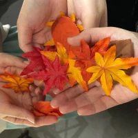 秋なので紅葉シャワーを