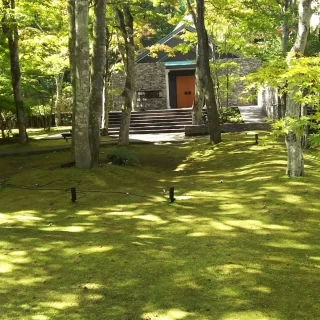 緑に囲まれた教会