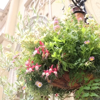外の階段の近くには花壇もあり、綺麗でした