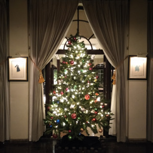 クリスマスツリーが素敵でした|513156さんの ロアラブッシュ（営業終了）の写真(915737)