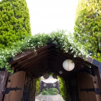 入り口からわくわくする装飾♩