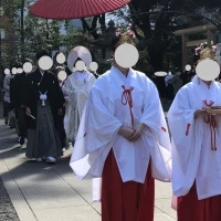 神職、巫女に先導されて参進できます