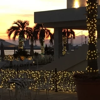 夕方はイルミネーションが綺麗ですね。