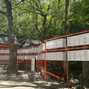 境内の雰囲気|513355さんの住吉神社(博多)の写真(1583528)