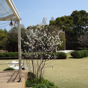 お庭とチャペル外観（木の後ろ）|513373さんのTHE GRASS HOUSE 桜の杜（ザ グラスハウス 桜の杜）の写真(683189)