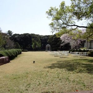 お庭|513373さんのTHE GRASS HOUSE 桜の杜（ザ グラスハウス 桜の杜）の写真(683180)
