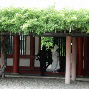 事前写真撮影の花嫁様|513376さんの日枝神社の写真(682918)