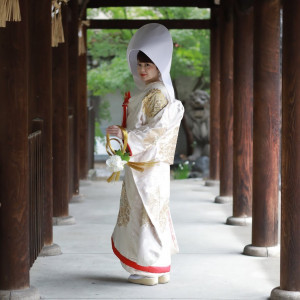 渡り廊下での撮影は雨の日でも安心|513954さんの坐摩神社の写真(717178)