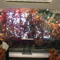 式場。秋デザイン