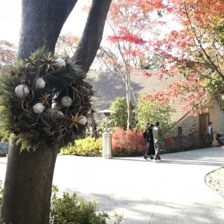 チャペルへつながる道の途中に飾ってあったリース。