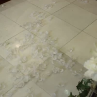 挙式退場時のフェザーシャワー