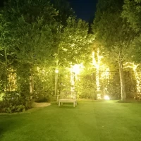 装飾自由なガーデンです。フォトスポットを置いたり。