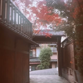 紅葉の季節は色付いた紅葉が。