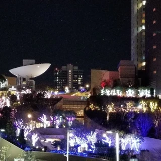 3月の挙式だったため、外のイルミネーションも綺麗でした！