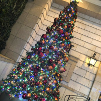 玄関にある大きくて美しいクリスマスツリー