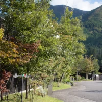 駐車場入り口です