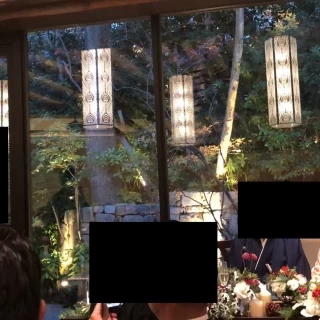 素敵な常緑樹