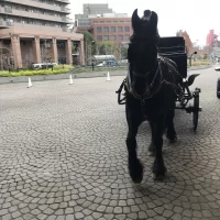 馬車