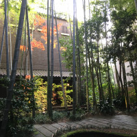 フォーチュンと言えば、竹林のお庭！