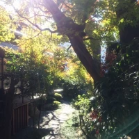 素敵な中庭