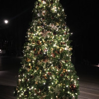 ハルニレテラスのクリスマスツリー