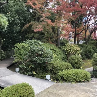 本館チャペルまでの道です。緑が素敵でした。