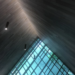 自然光が差し込む幻想的な雰囲気