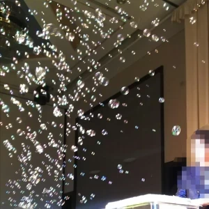 シャボン玉|518563さんのホテル日航高知旭ロイヤル（営業終了）の写真(712440)