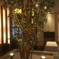 一階から二回に突き抜ける木。装飾も可能