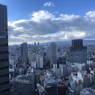 披露宴会場からの景色