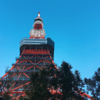 入り口付近からの東京タワー