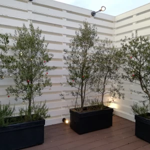 小さいテラス|519230さんのWedding Terrace Ashiya (ウエディングテラス芦屋)の写真(701393)
