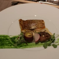 旬の食材を使用した料理