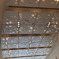 水玉をイメージした天井