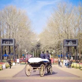挙式後の新郎新婦が馬車に乗って退場します。