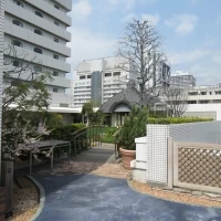 ウッドデッキからの景色