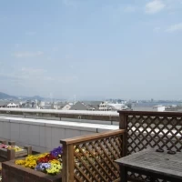 ウッドデッキからの景色