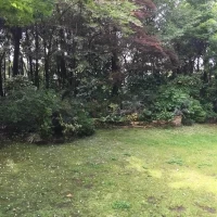ガーデン挙式はここでやるそうです