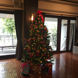 クリスマスシーズンは大きいツリーが飾られていて、インスタ映え