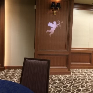 天使が映し出されてる！