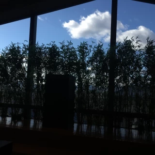 自然光がはいります